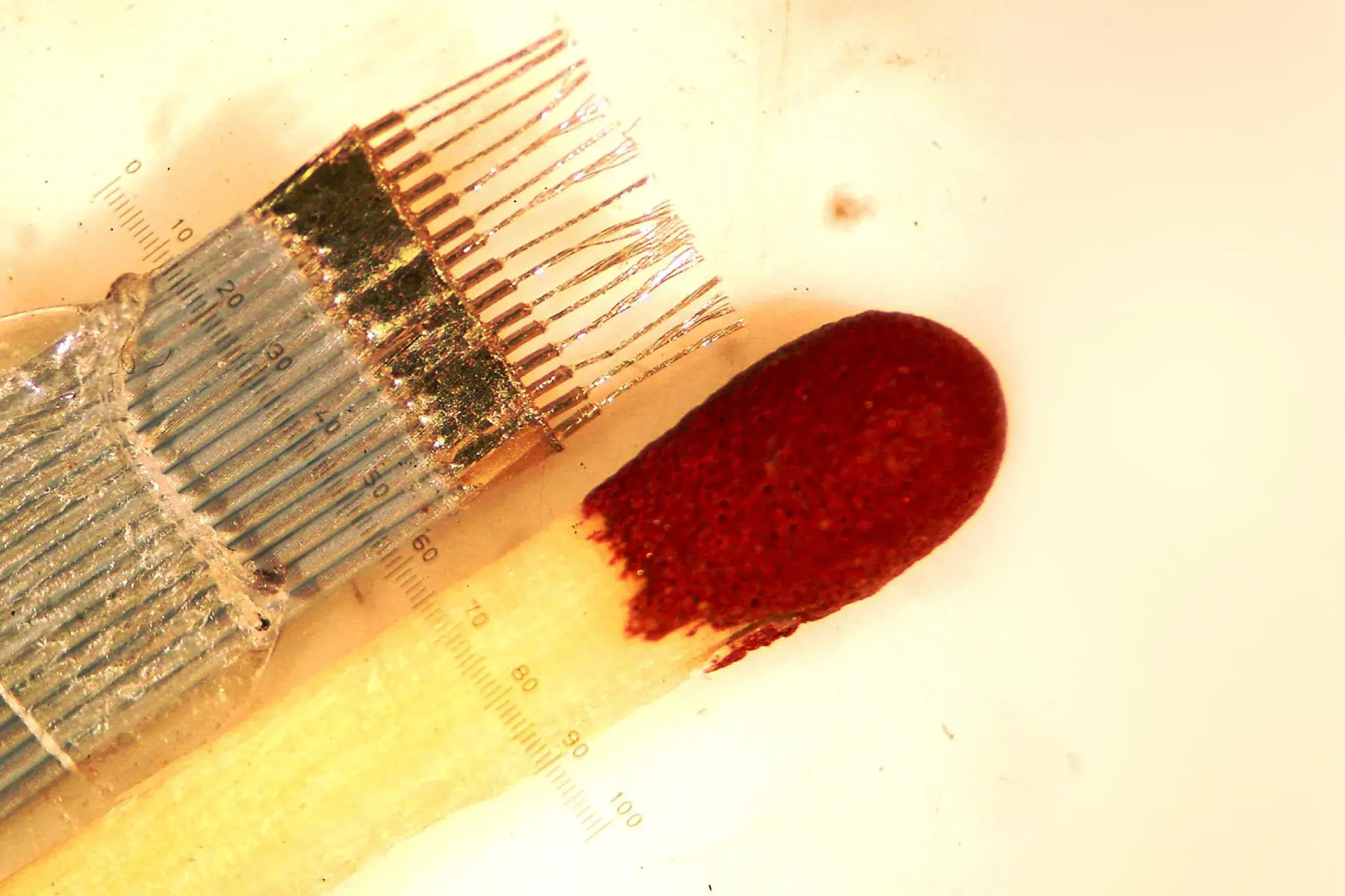 Ribbon cable with golden color and red.